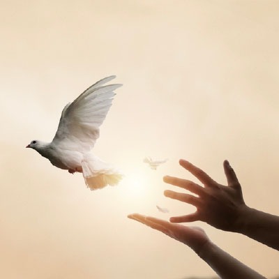 Freedom